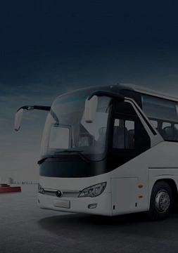 автобусы